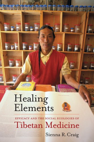 9780520273238: Healing Elements: Efficacy and the Social Ecologies of Tibetan Medicine