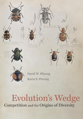 Beispielbild fr Evolution's Wedge: Competition and the Origins of Diversity (Volume 12) (Organisms and Environments) zum Verkauf von Midtown Scholar Bookstore