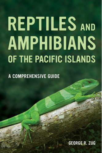 Stock image for Reptiles and Amphibians of the Pacific Islands: A Comprehensive Guide for sale by COLLINS BOOKS