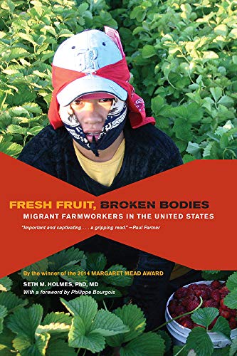 Beispielbild fr Fresh Fruit, Broken Bodies: Migrant Farmworkers in the United States (Volume 27) (California Series in Public Anthropology) zum Verkauf von BooksRun