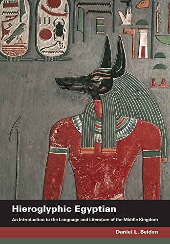 9780520275461: Hieroglyphic Egyptian: An Introduction to the Language and Literature of the Middle Kingdom