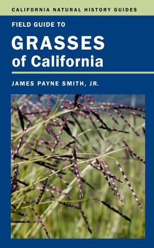 Beispielbild fr Field Guide to Grasses of California (California Natural History Guides) zum Verkauf von Midtown Scholar Bookstore