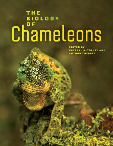 Imagen de archivo de The Biology of Chameleons a la venta por Blackwell's