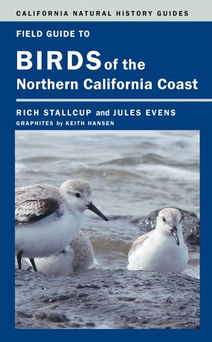 Beispielbild fr Field Guide to Birds of the Northern California Coast (California Natural History Guides) zum Verkauf von Midtown Scholar Bookstore