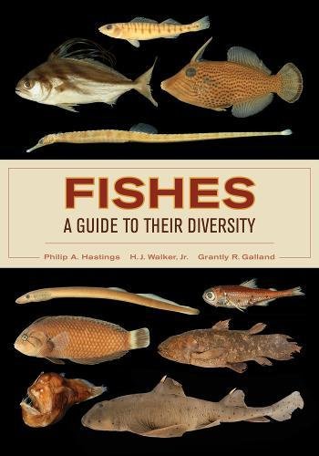 9780520278721: Fishes: A Guide to Their Diversity
