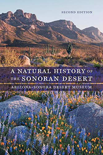Beispielbild fr A Natural History of the Sonoran Desert zum Verkauf von BooksRun
