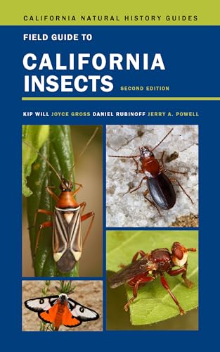 Stock image for Field Guide to California Insects: Second Edition (Volume 111) (California Natural History Guides) for sale by GF Books, Inc.