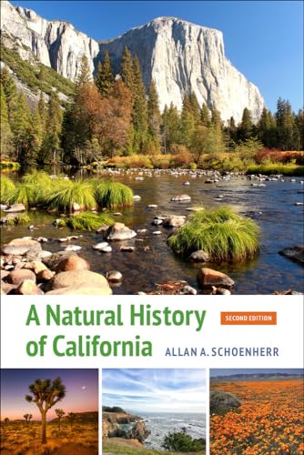 Stock image for A Natural History of California: Second Edition for sale by One Planet Books