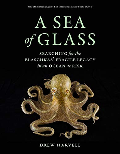 Beispielbild fr A Sea of Glass zum Verkauf von Blackwell's
