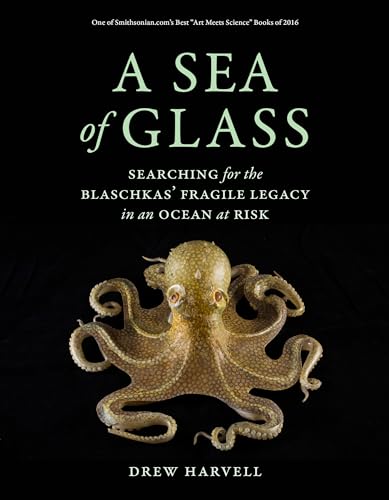 Stock image for A Sea of Glass for sale by Blackwell's