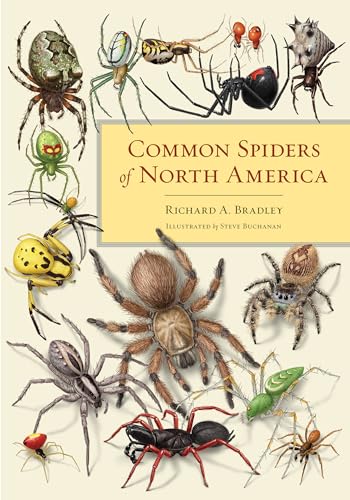 Common Spiders of North America - Bradley, Richard A.