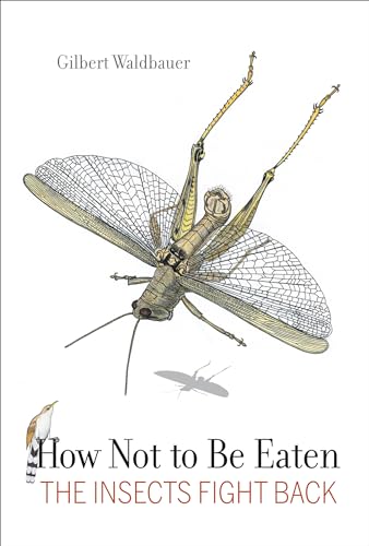 Stock image for How Not to Be Eaten : The Insects Fight Back for sale by Better World Books