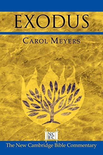 Exodus (The New Cambridge Bible Commentary)