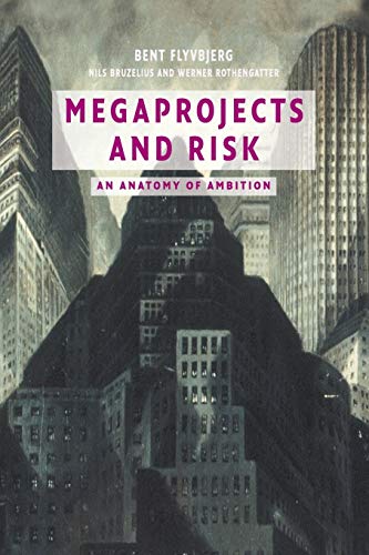 Imagen de archivo de Megaprojects and Risk: An Anatomy of Ambition a la venta por Isle Books