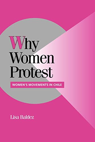 9780521010061: Why Women Protest: Women's Movements in Chile (Cambridge Studies in Comparative Politics)