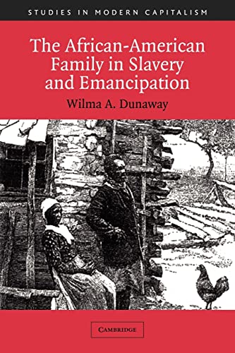 9780521012164: The African-American Family in Slavery and Emancipation (Studies in Modern Capitalism)