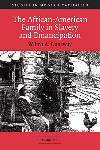 The African-american Family In Slavery And Emancipation (studies In Modern Capitalism)