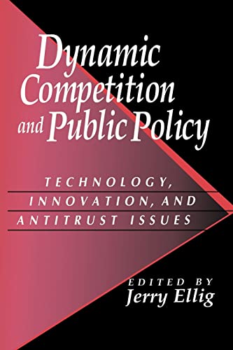 Stock image for Dynamic Competition and Public Policy: Technology, Innovation, and Antitrust Issues for sale by HPB-Red