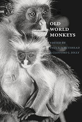 Stock image for Old World Monkeys for sale by Lucky's Textbooks