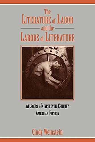 9780521054584: The Literature of Labor: Allegory in Nineteenth-Century American Fiction: 89 (Cambridge Studies in American Literature and Culture, Series Number 89)