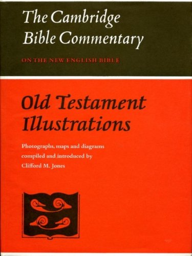Stock image for Old Testament Illustrations for sale by Better World Books