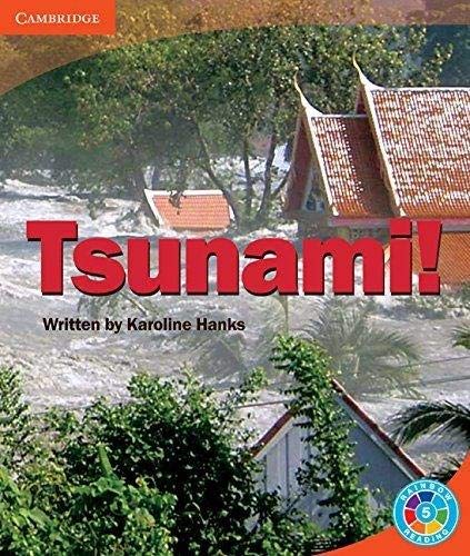 Imagen de archivo de Rainbow Read Level 5 - Landscape: Tsunami! Box D a la venta por Iridium_Books