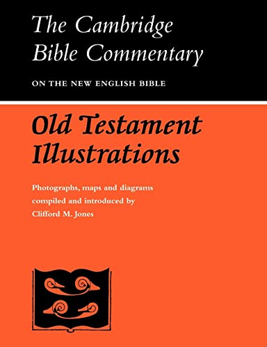 Stock image for Old Testament Illustrations (Cambridge Bible Commentaries on the Old Testament) for sale by HPB-Ruby