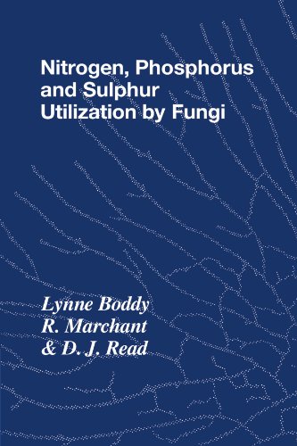 Stock image for Nitrogen; Phosphorus and Sulphur Utilisation by Fungi: Symposium of the British Mycological Society Held at the University of Birmingham; April 1988 for sale by Ria Christie Collections