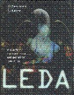 LEDA 2 Part Paperback Set: A Platform for Combinatorial and Geometric Computing (9780521109413) by Mehlhorn, Kurt; NÃ¤her, Stefan