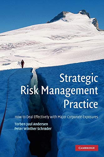 Beispielbild fr Strategic Risk Management Practice : How to Deal Effectively with Major Corporate Exposures zum Verkauf von Buchpark