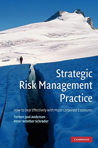 Imagen de archivo de Strategic Risk Management Practice a la venta por Books Puddle