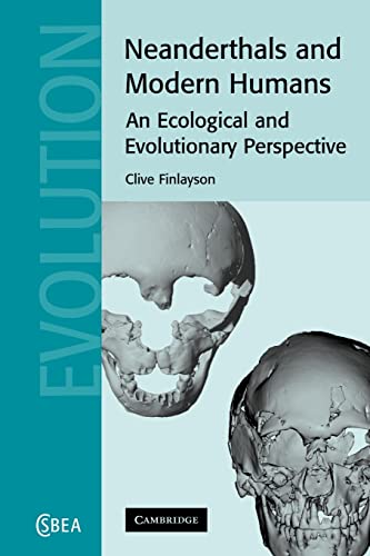 Stock image for Neanderthals and Modern Humans: An Ecological and Evolutionary Perspective (Cambridge Studies in Biological and Evolutionary Anthropology, Series Number 38) for sale by Irish Booksellers