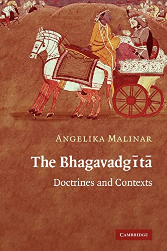 Imagen de archivo de The Bhagavadgita: Doctrines and Contexts a la venta por Chiron Media