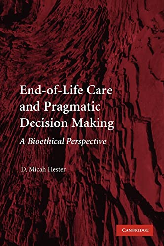 Stock image for End-of-Life Care and Pragmatic Decision Making : A Bioethical Perspective for sale by Better World Books Ltd