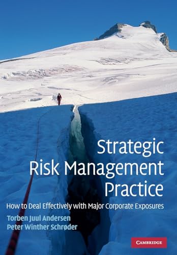 Stock image for Strategic Risk Management Practice : How to Deal Effectively with Major Corporate Exposures for sale by Better World Books
