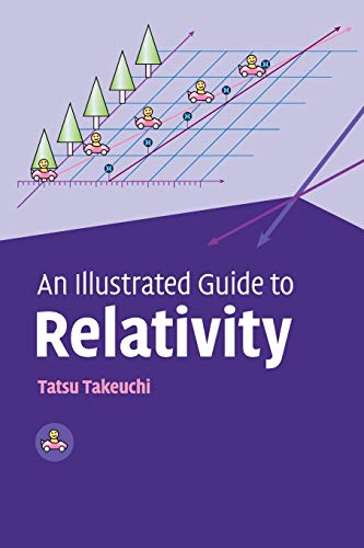 9780521141000: An Illustrated Guide to Relativity Paperback