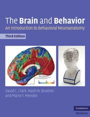 Beispielbild fr The Brain and Behavior: An Introduction to Behavioral Neuroanatomy Clark, David L.; Boutros, Nashaat N. and Mendez, Mario F. zum Verkauf von online-buch-de