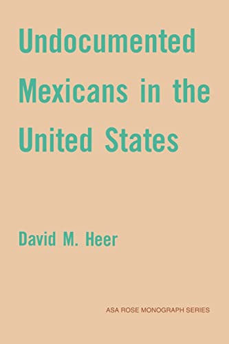 Imagen de archivo de Undocumented Mexicans in the USA a la venta por ThriftBooks-Atlanta