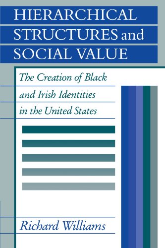 Stock image for Hierarchical Structures and Social Value: The Creation of Black and Irish Identities in the United States for sale by Ria Christie Collections