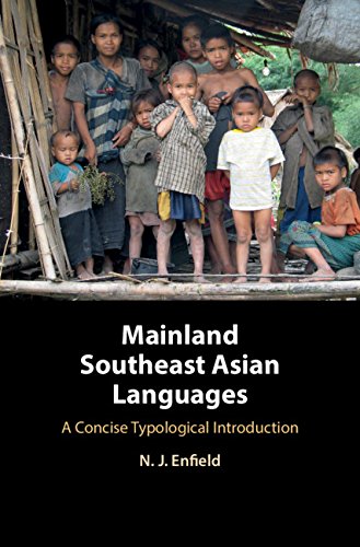 Imagen de archivo de Mainland Southeast Asian Languages: A Concise Typological Introduction a la venta por AwesomeBooks