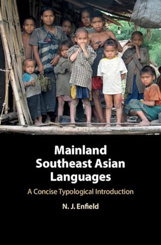 Stock image for Mainland Southeast Asian Languages: A Concise Typological Introduction for sale by WorldofBooks