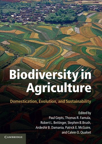 Beispielbild fr Biodiversity in Agriculture: Domestication, Evolution, and Sustainability zum Verkauf von Katsumi-san Co.