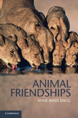 Stock image for Animal Friendships for sale by AMM Books