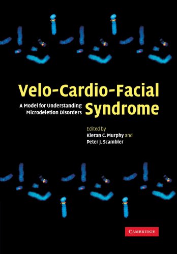 Imagen de archivo de Velo-Cardio-Facial Syndrome : A Model for Understanding Microdeletion Disorders a la venta por Better World Books Ltd