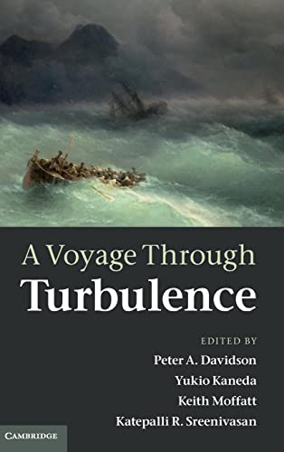 9780521198684: A Voyage Through Turbulence Hardback