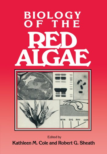 Stock image for Biology of the Red Algae for sale by Books Unplugged