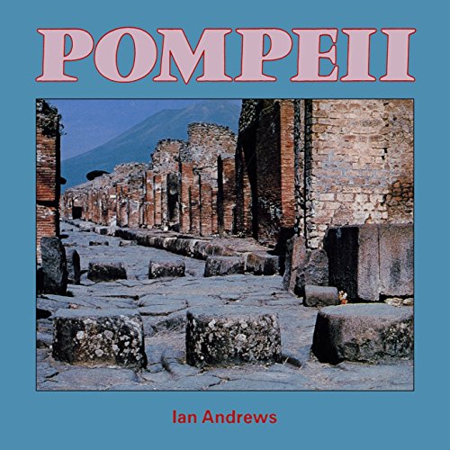 Stock image for Pompeii (Cambridge Introduction to World History) for sale by Wonder Book