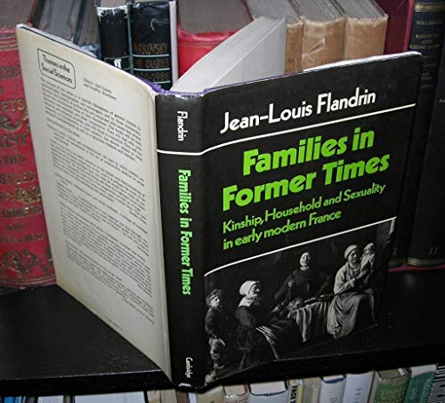 Imagen de archivo de Families in Former Times: Kinship, Household and Sexuality in Early Modern France (Themes in the Social Sciences) a la venta por A Good Read, LLC