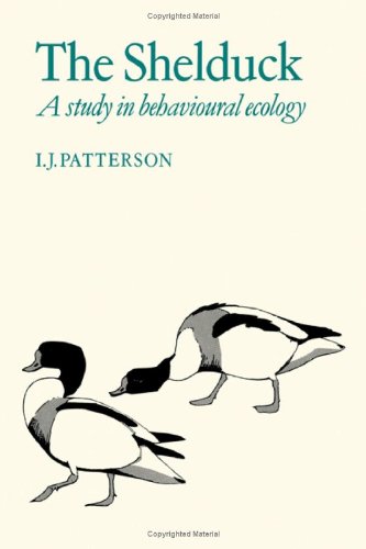 Stock image for The Shelduck: A Study in Behavioural Ecology for sale by Anybook.com