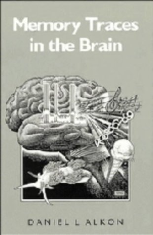 Beispielbild fr Memory Traces in the Brain zum Verkauf von Better World Books